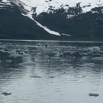 Major Marine Tours - Tours Near Me - Anchorage, Alaska Major Marine Tours - Tours Near Me - Anchorage, Alaska