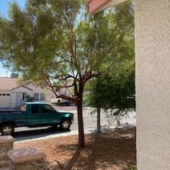 All Stars - After - Lawn Services Near Me - Las Vegas, Nevada