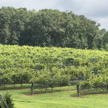 Engelheim Vineyards - Wineries Near Me - Ellijay, Georgia Engelheim Vineyards - Wineries Near Me - Ellijay, Georgia
