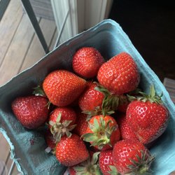 Pike Farms Sagaponack - Strawberries