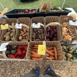 Dube's Farm and Market - Local Veggies!