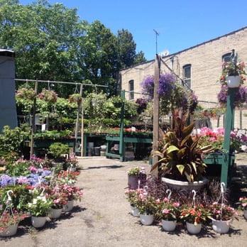 New Utrecht Garden Center - Some of the outside plants. - Florists Near Me - Brooklyn, New York