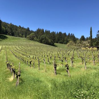 Stony Hill - Wineries Near Me - Saint Helena, California Stony Hill - Wineries Near Me - Saint Helena, California