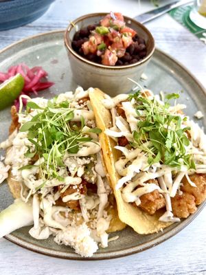 Clear Sky on Park by null