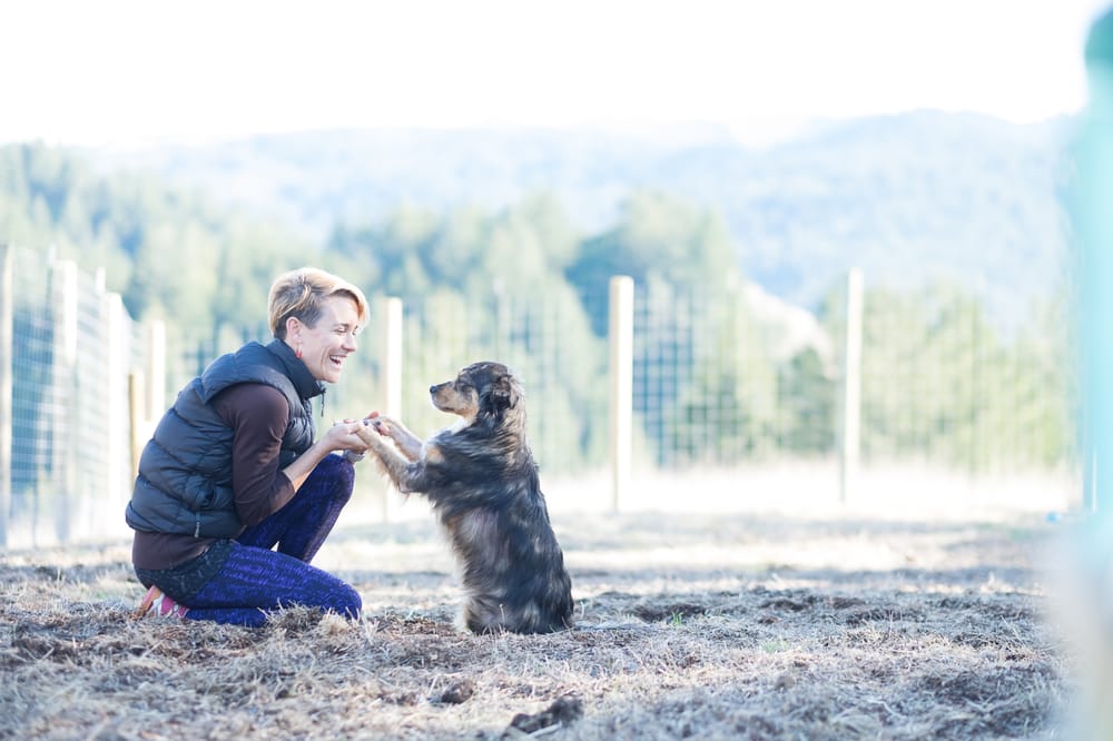 Reggie's Dog Ranch - pet boarding facility in San Francisco, CA