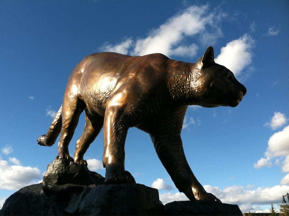 COLDWELL BANKER SCHNEIDMILLER REALTY Updated May 2024 2000