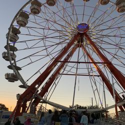 Manatee County Fair - Ferris Wheel