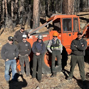 Sierra Nevada Timber - Last day on the trail - Tree Services Near Me