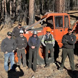 Sierra Nevada Timber - Last day on the trail