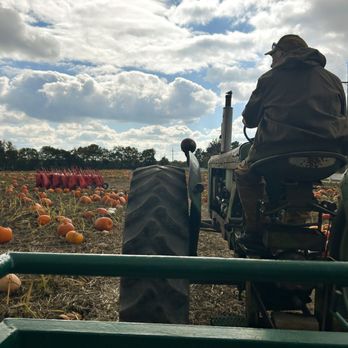 Johnson Farms Plants & Pumpkins - Pumpkin Patches Near Me - Belton, Missouri Johnson Farms Plants & Pumpkins - Pumpkin Patches Near Me - Belton, Missouri
