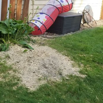 Bratt Tree - Leftover saw dust that was not cleaned up all the way in the back - Tree Services Near Me - Minneapolis, Minnesota