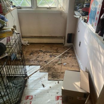 Junk Rx - This was the kitchen floors were filled with dog poop ripped up the wooden floor - Junk Removal & Hauling Near Me - Washington, New Jersey Junk Rx - This was the kitchen floors were filled with dog poop ripped up the wooden floor - Junk Removal & Hauling Near Me - Washington, New Jersey