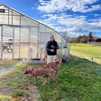 Schmitt's Farm Stand on Sound - Why's the greenhouse empty? - Farms Near Me - Riverhead, New York Schmitt's Farm Stand on Sound - Why's the greenhouse empty? - Farms Near Me - Riverhead, New York