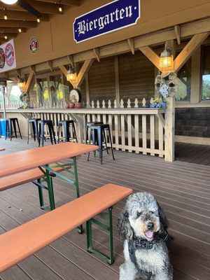 Bavarian Chef by null