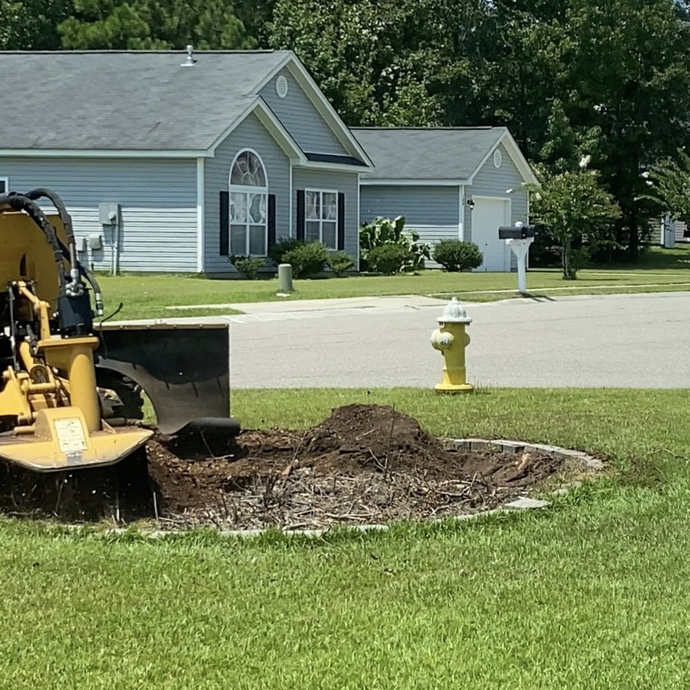 Coastal Stump Grinding - Before and During. - Tree Services Near Me - Summerville, South Carolina Coastal Stump Grinding - Before and During. - Tree Services Near Me - Summerville, South Carolina