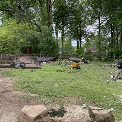 Eagles Tree Service