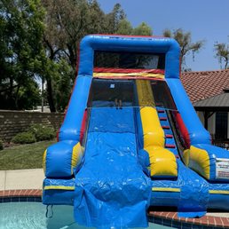 Backyard pool
