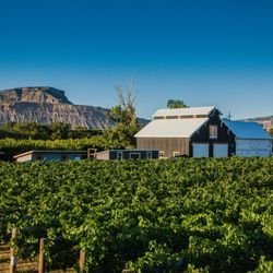 Restoration Vineyards