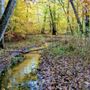 Photo of Parkers Creek Preserve