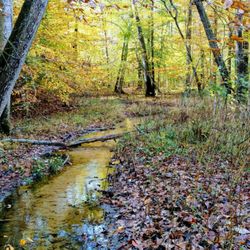 Parkers Creek Preserve