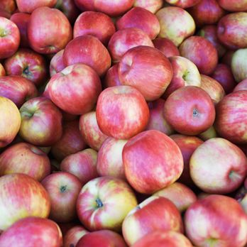 Stoke Market - a large pile of apples - Grocery Near Me - Kimberley, British Columbia Stoke Market - a large pile of apples - Grocery Near Me - Kimberley, British Columbia
