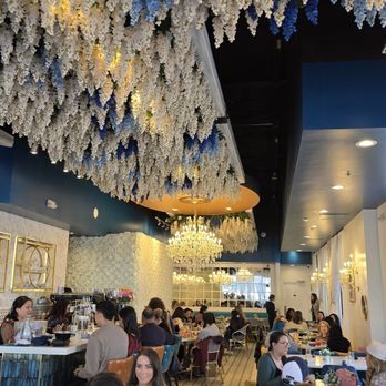 The Bloom Lounge - Breakfast & Brunch Near Me - Plano, Texas