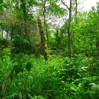 Webberville Park - Parks Near Me - Webberville, Texas
