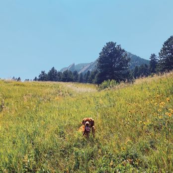 Chautauqua Park - Parks Near Me - Boulder, Colorado