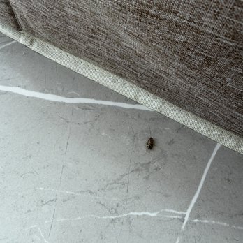 Hope + Flower - Roach 8 - Apartments Near Me - Los Angeles, California Hope + Flower - Roach 8 - Apartments Near Me - Los Angeles, California