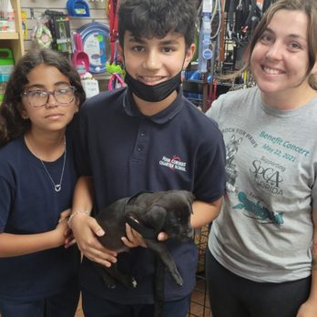 SPCA Florida - Animal Shelters Near Me - Lakeland, Florida SPCA Florida - Animal Shelters Near Me - Lakeland, Florida
