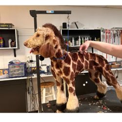 Yappy Hour Pet Grooming