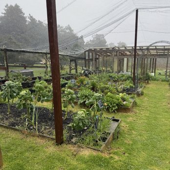 Mar Vista Farm + Cottages - Garden - Bed & Breakfast Near Me - Gualala, California Mar Vista Farm + Cottages - Garden - Bed & Breakfast Near Me - Gualala, California