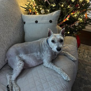 DeSoto Animal Clinic - Veterinarians Near Me - Bradenton, Florida