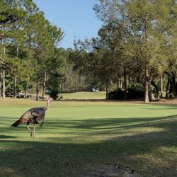 Cypress Head Golf Club