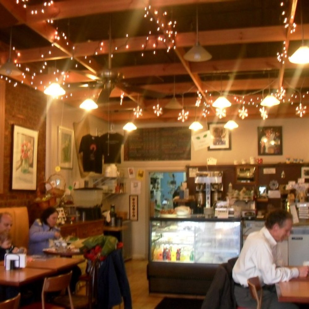 Black Cat Cafe - Interior of Black Cat Cafe. - Coffee & Tea Near Me - Irvington, New York Black Cat Cafe - Interior of Black Cat Cafe. - Coffee & Tea Near Me - Irvington, New York