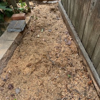 The Naughty Stump Remover - No more stump - Tree Services Near Me