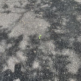Huey's Paving & Seal Coating - Masonry/Concrete Near Me
