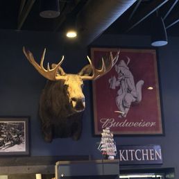 Moose head decor Moose head decor
