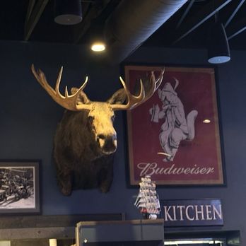 Syberg's St. Peters - Moose head decor - Sports Bars Near Me - St. Peters, Missouri Syberg's St. Peters - Moose head decor - Sports Bars Near Me - St. Peters, Missouri