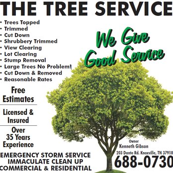 The Tree Service - Tree Services Near Me - Knoxville, Tennessee