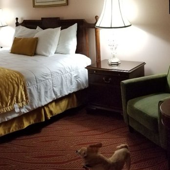Campbell Inn - Large clean and comfortable - Hotels Near Me - Campbell, California