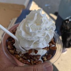 Small turtle sundae