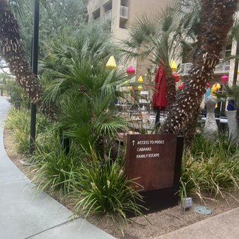 JW Marriott Phoenix Desert Ridge Resort & Spa - Hotels Near Me - Phoenix, Arizona