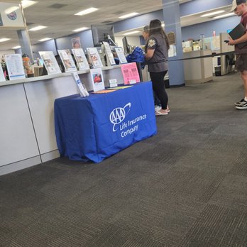 AAA Insurance - Getting insurance and bettering my life! Doing my best to feel motivated to accomplish one thing tofay0 - Home & Rental Insurance Near Me - Northridge, California