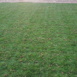 Sonrise Sprinklers & Lawn Care