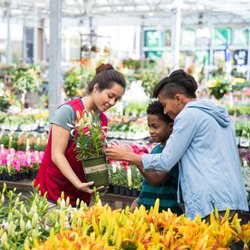 Lowe's Home Improvement