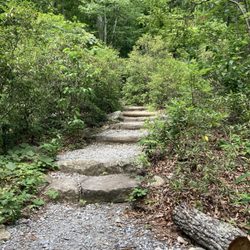 Kids trail near entrance