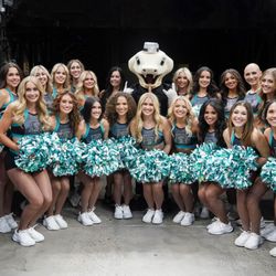 Arizona Rattlers - Sidewinders and Stryker