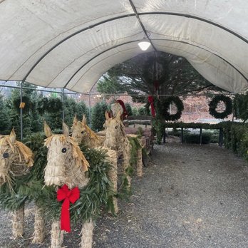Clark's Farm - Nurseries & Gardening Near Me - Stafford, Virginia Clark's Farm - Nurseries & Gardening Near Me - Stafford, Virginia