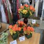 Premier Cleaners & Alterations